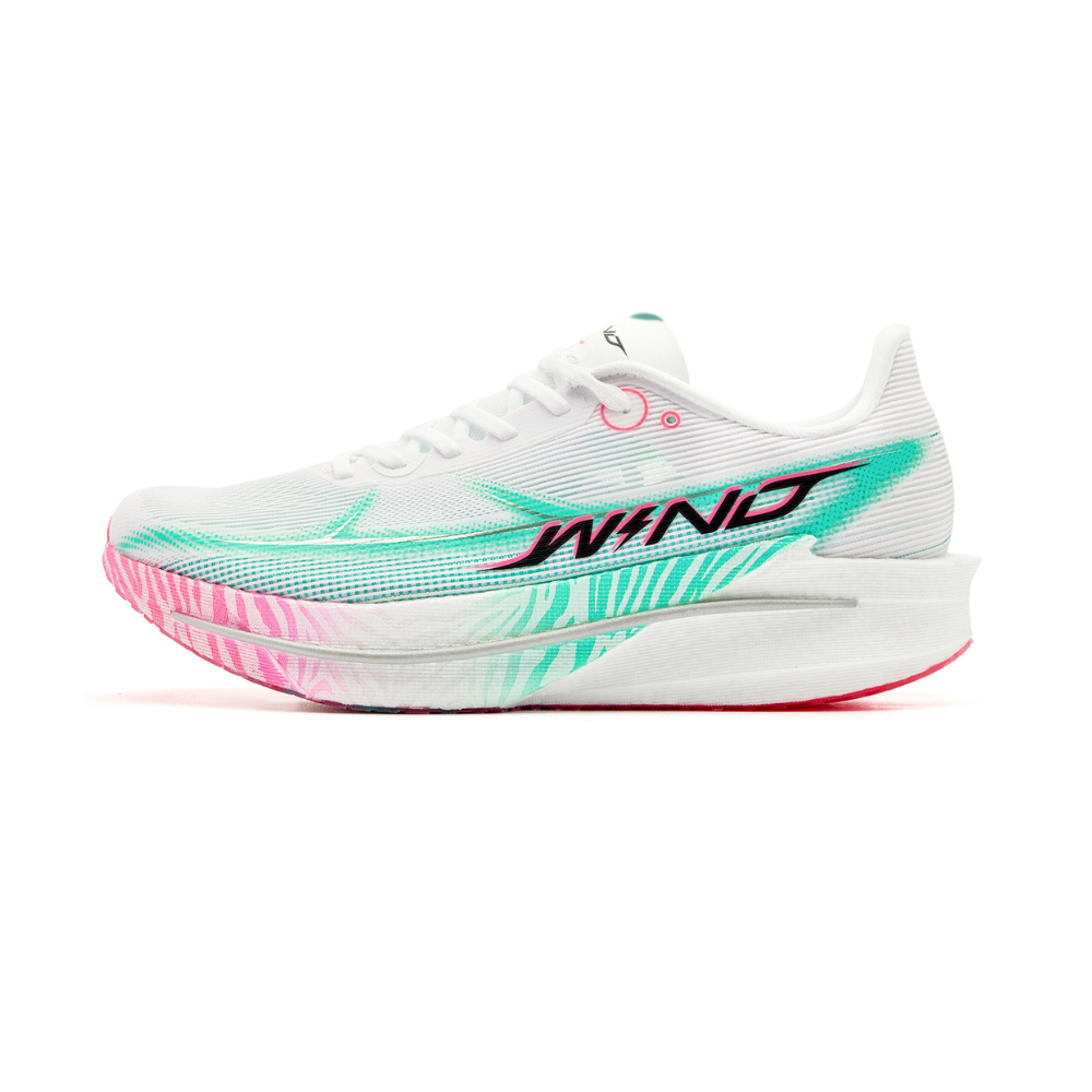 WIND 4.0 'Rainbow Zebra'